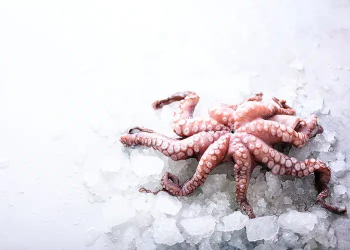 per-piatti-di-mare-gustosi-solo-pesce-di-qualita